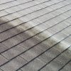 We Do Roof Soft Washing Too!